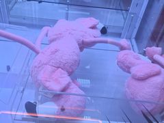 -可爱抓 COCO  GOTCHA(天津鹏欣水游城店)