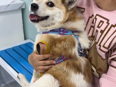 -达爱动物医院·犬猫分区·CT·复杂眼科(远洋山水分院)