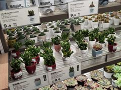 -鹿岛会员店(熙地港店)