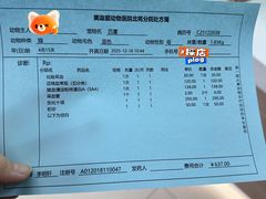 -美迦爱-牙专科·兔科·骨科诊疗中心(北苑店)