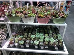 -KKV(深圳宏发大仟里店)