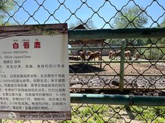 -青藏高原野生动物园