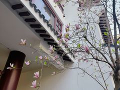 -苏州吴宫泛太平洋酒店