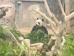 -石排湾郊野公园