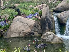 -罗红摄影艺术馆