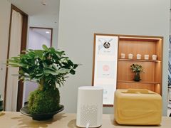 -长风拨筋养身(金虹桥店)