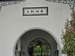 -南汇桃花村