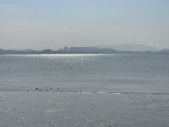 -深圳湾公园(南山区)