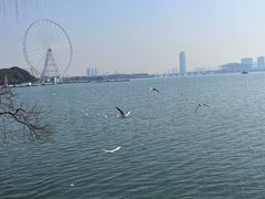 -无锡蠡湖国家湿地公园-蠡园