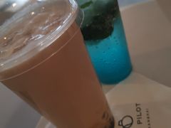 -飞行喵MR PILOT|猫舍·猫咖(静安大融城店)