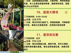 -西双版纳原始森林公园