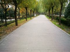 -咸阳湖景区-古渡公园