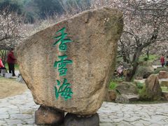 -香雪海