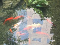 -西檬树SIMON·T轻奢蛋糕(大东方Max店)