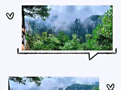 -张家界天门山国家森林公园
