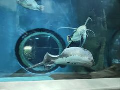 -苏州海洋馆