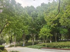 -天鹅湖体育公园