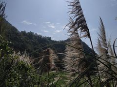 -贵阳市花溪国家城市湿地公园