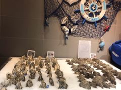 -盒马鲜生(顺义店)