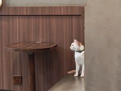 -Again Coffee Roaster(香蜜湖店)