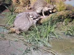 -陕西自然博物馆