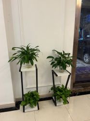 -香秀空间科技抗衰·美容中心