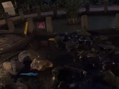 -成都市活水公园