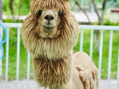 -水上乐园·欢乐世界