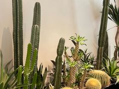 -J Create城市露营咖啡·简餐·宠物(上海动物园店)