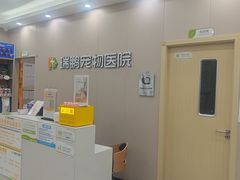 -瑞鹏宠物医院·骨外科·心肾科·肿瘤科(九亭店)