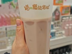 -猫的魔法密林(衣裳街店)