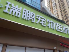 -瑞鹏宠物医院·微创内窥镜·骨外科·牙科(翠竹分院)