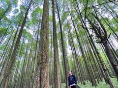 -武陵山森林公园