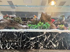 -红辣椒·川菜·火锅(大洋中心店)