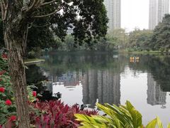 -晓港公园