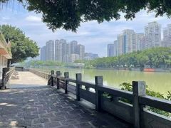-光明港公园