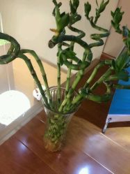 -悦妍韩式半永久纹眉纹绣