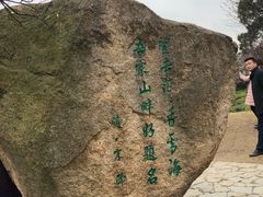 -香雪海