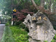 -西湖风景区-江洋畈生态公园