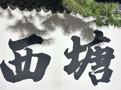 -老品芳