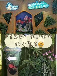 -七巧国萌宠乐园(龙湖天街店)