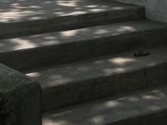 -悦哉·派对·草坪婚礼·围炉煮茶(三圣乡店)