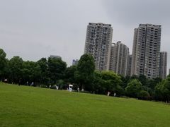 -重庆彩云湖湿地公园