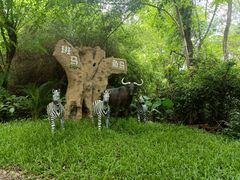 -海南热带野生动植物园