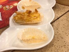 西杏片炸鲜奶-点都德(北京路贰店)