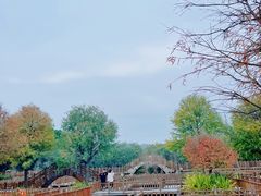 -五缘湾湿地公园