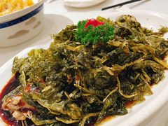 -绿雅酒家(江西中路店)