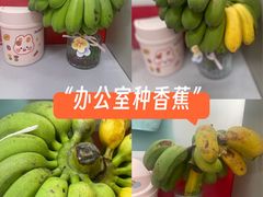 -万达广场(南昌红谷滩店)