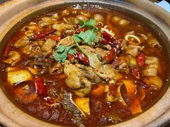 肥肠牛蛙砂锅-马头巷·食景园(苏州总店)