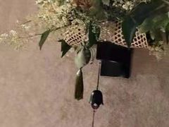 -柒厢食事雅谈